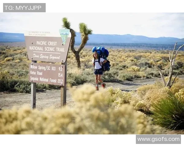 亚当斯的传奇人生与影响力探秘：从平凡到伟大的蜕变之路